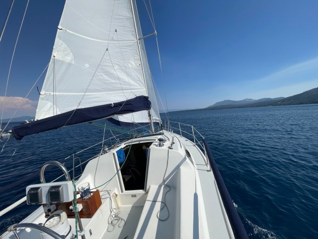 Splendido at play on McKinney Bay at Lake Tahoe, July 14, 2025.
